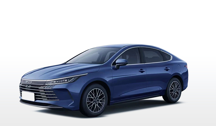 BYD King GS PcD